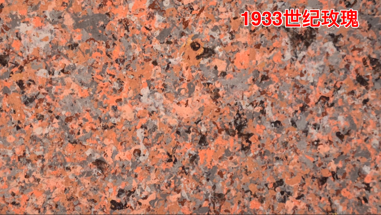 1933世紀玫瑰.jpg